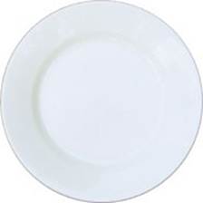 Large Plate 10"